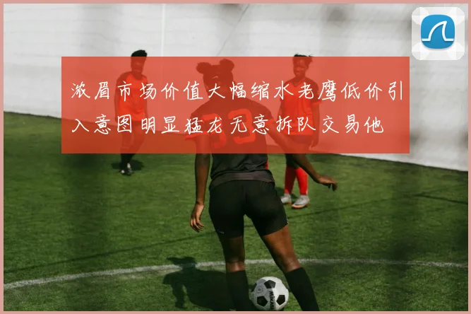 浓眉市场价值大幅缩水老鹰低价引入意图明显猛龙无意拆队交易他